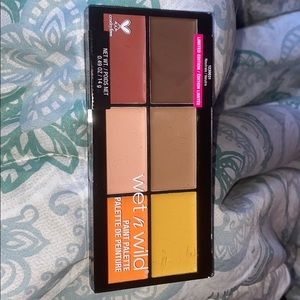 Limited edition Wet n wild paint pallet